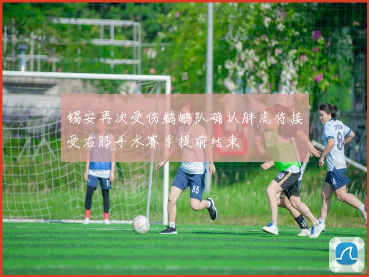 锡安再次受伤鹈鹕队确认胖虎将接受右膝手术赛季提前结束
