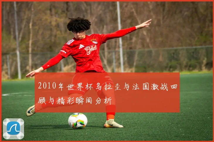 2010年世界杯乌拉圭与法国激战回顾与精彩瞬间分析