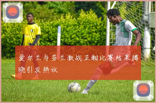 爱尔兰与芬兰激战正酣比赛结果揭晓引发热议