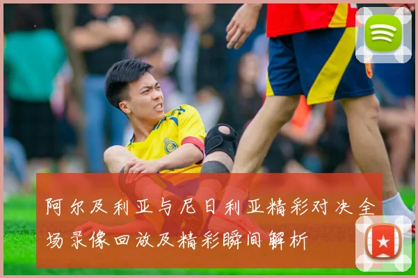 阿尔及利亚与尼日利亚精彩对决全场录像回放及精彩瞬间解析